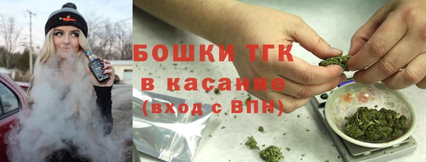 гидра Бородино