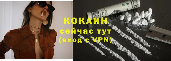 гидра Бородино