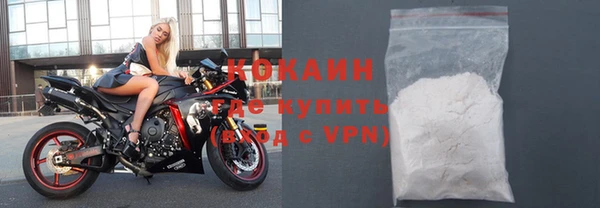 гидра Бородино