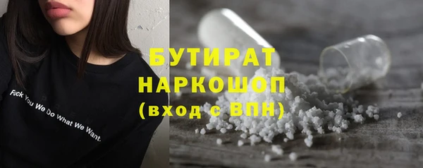 гидра Бородино