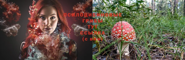прущие крисы Бронницы