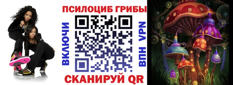 где можно купить наркотик  Разумное  Галлюциногенные грибы GOLDEN TEACHER 